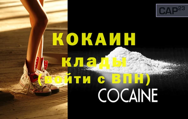сатива Ельня