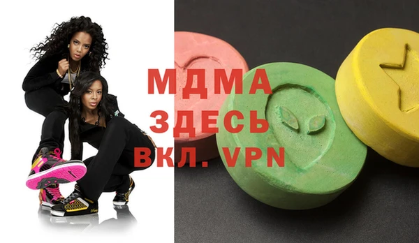 сатива Ельня