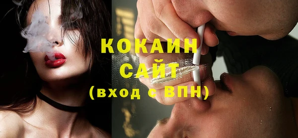 сатива Ельня