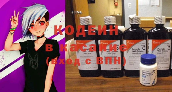 дурь Елизово