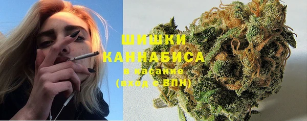 дурь Елизово