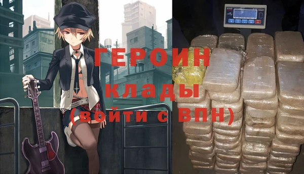 сатива Ельня