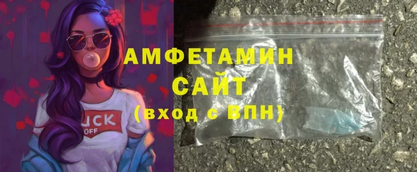 сатива Ельня