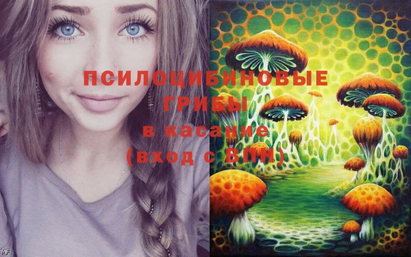 метадон Елабуга