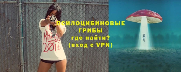 сатива Ельня