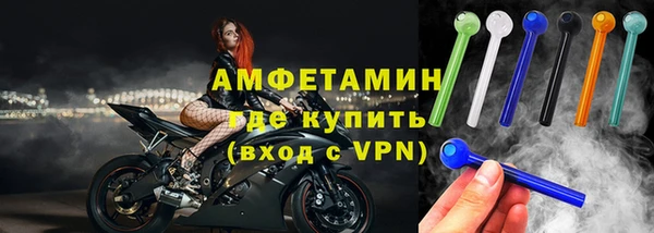 сатива Ельня